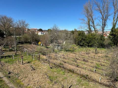 Terreno  para venda