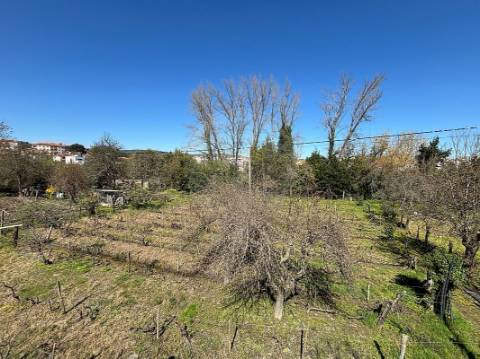 Terreno  para venda
