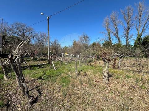 Terreno  para venda