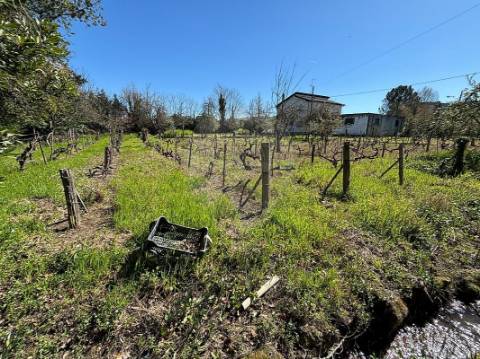 Terreno  para venda
