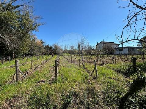 Terreno  para venda