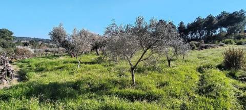 Terreno  para venda