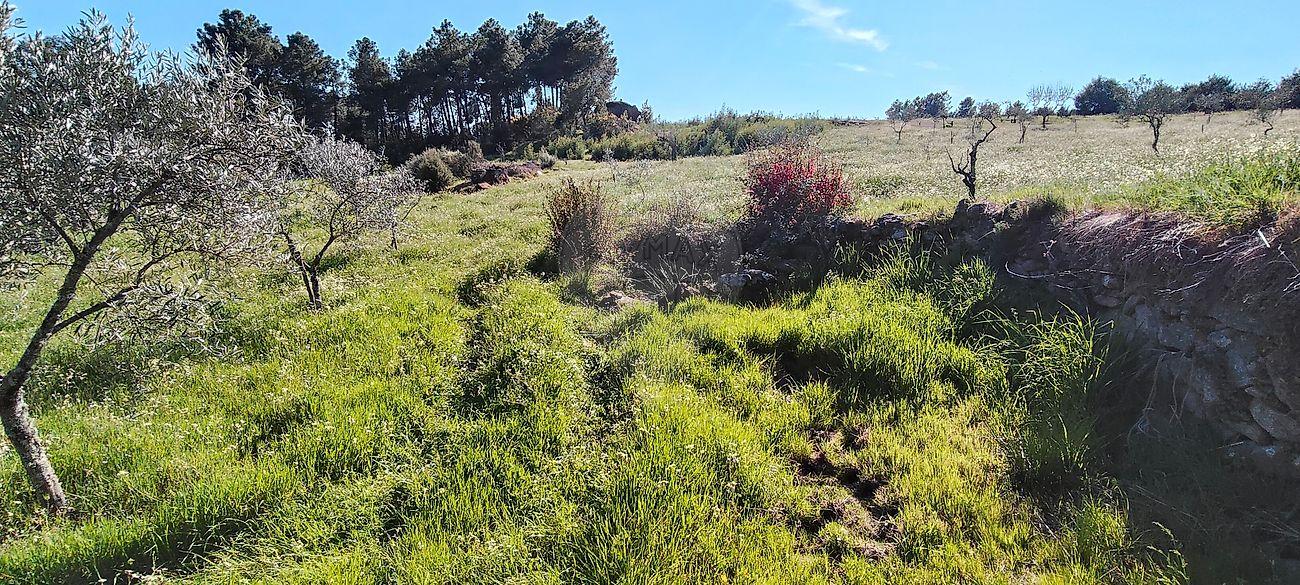 Terreno  para venda