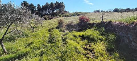 Terreno  para venda