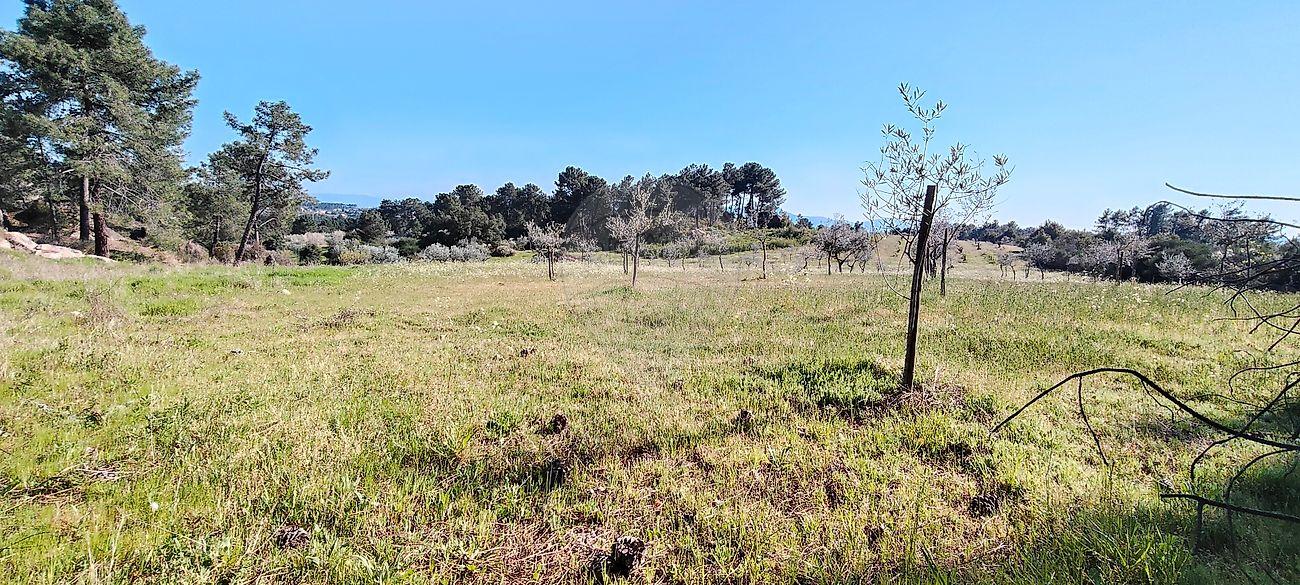 Terreno  para venda