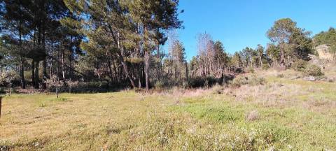 Terreno  para venda