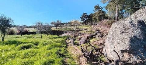 Terreno  para venda