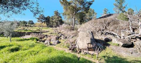 Terreno  para venda
