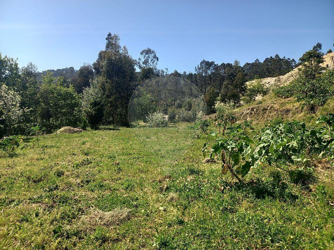 Terreno  para venda