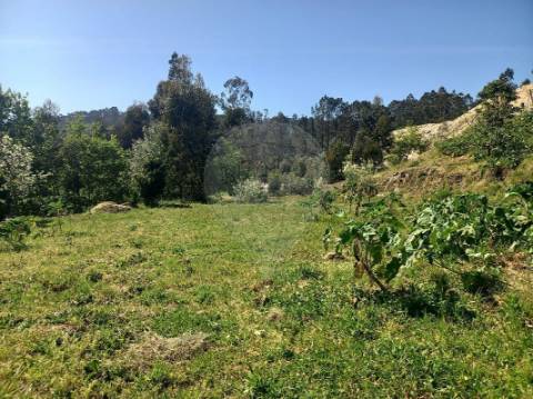 Terreno  para venda