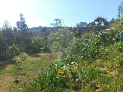 Terreno  para venda