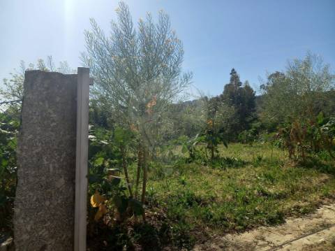 Terreno  para venda