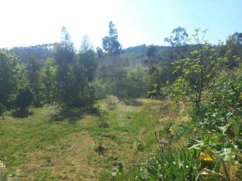 Terreno  para venda