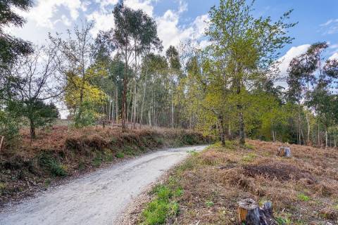 Terreno  para venda