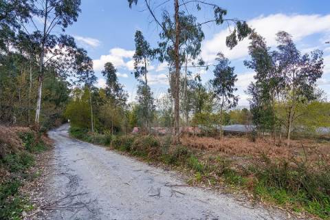 Terreno  para venda