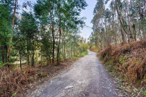 Terreno  para venda