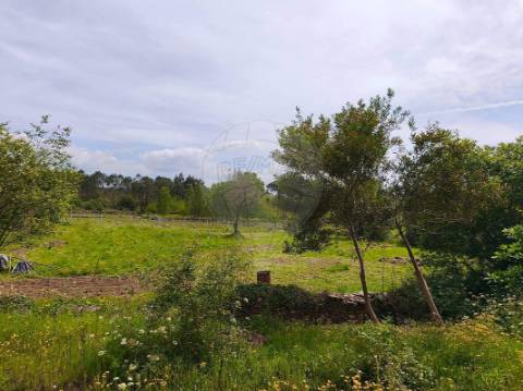 Terreno  para venda