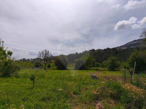Terreno  para venda