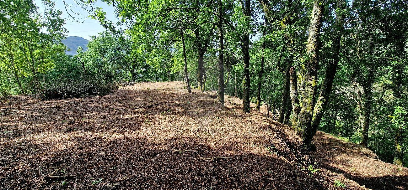 Terreno  para venda