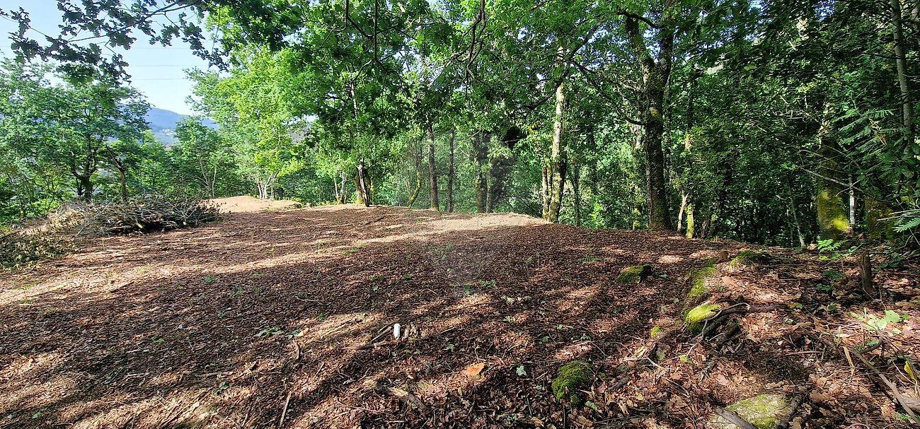 Terreno  para venda