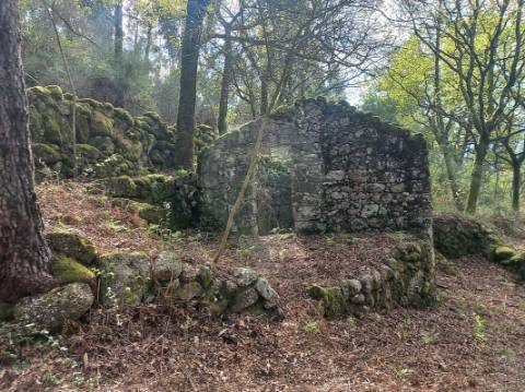 Terreno  para venda