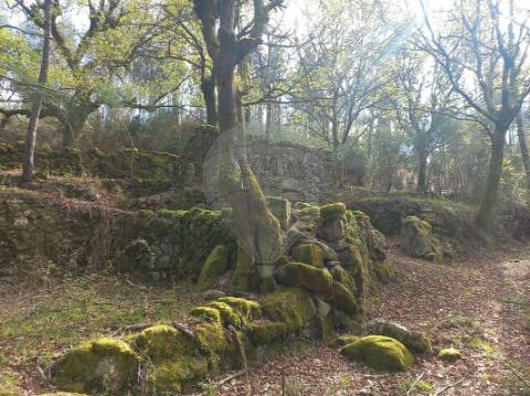 Terreno  para venda