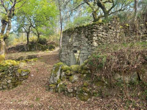 Terreno  para venda