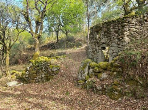 Terreno  para venda