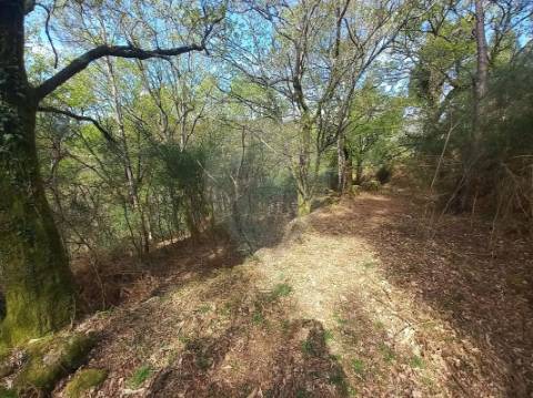 Terreno  para venda