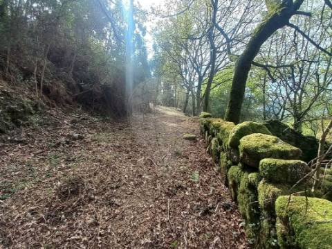Terreno  para venda
