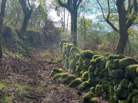 Terreno  para venda