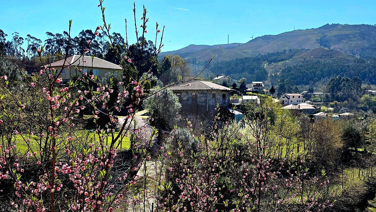 Quinta  para venda