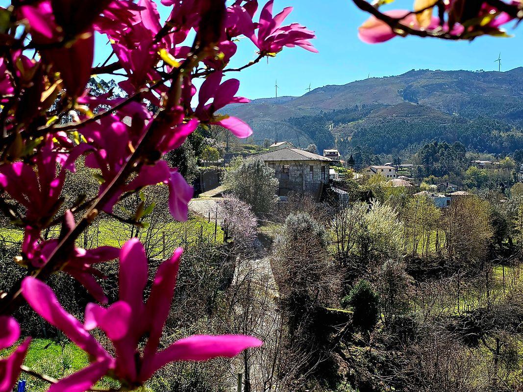 Quinta  para venda