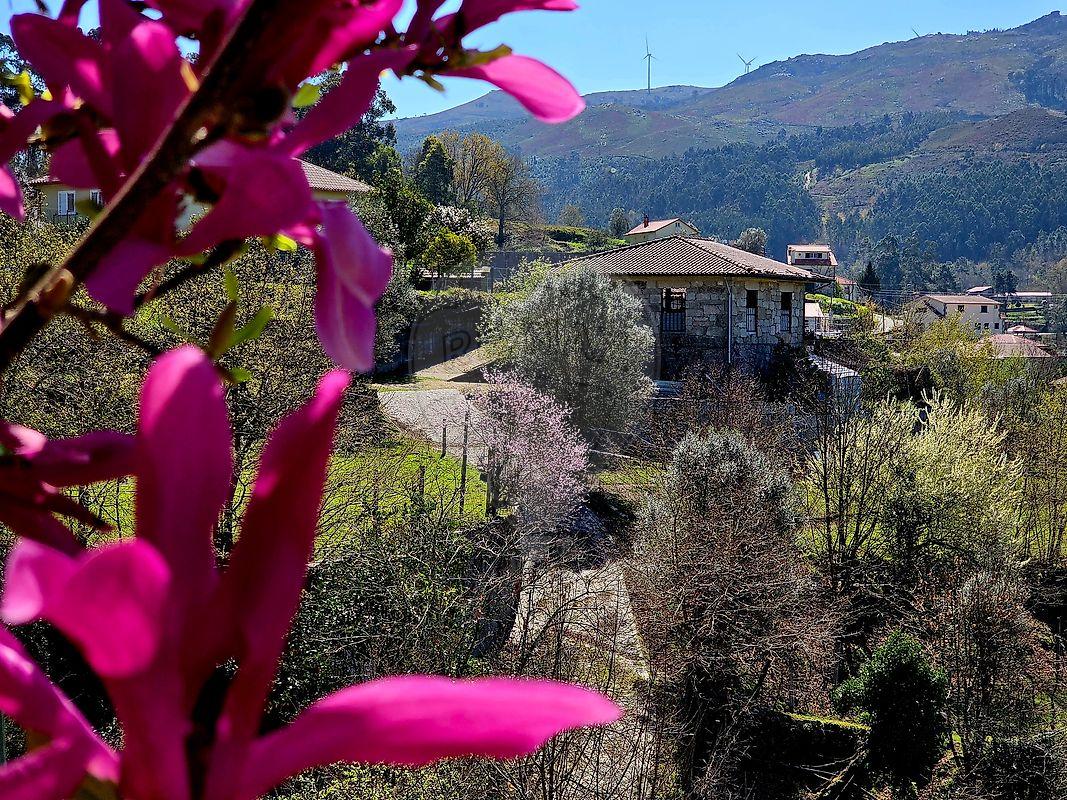 Quinta  para venda
