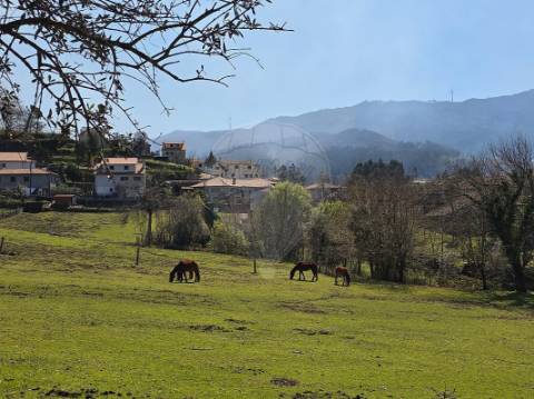 Quinta  para venda