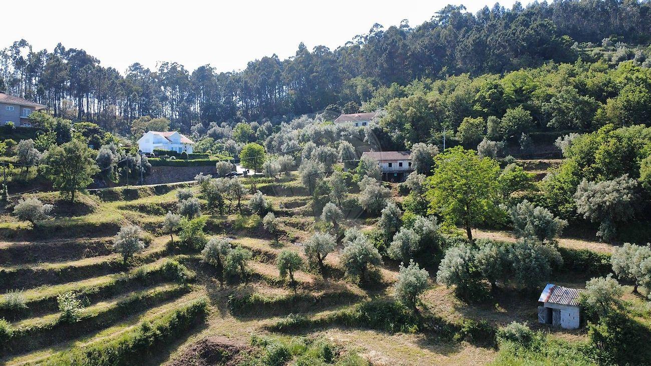 Quinta  para venda