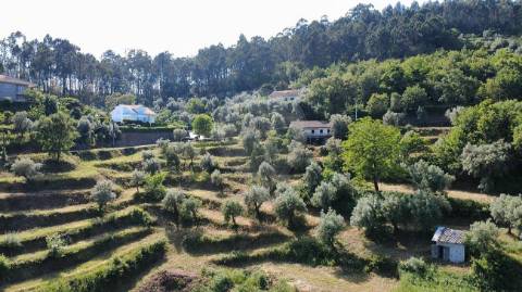 Quinta  para venda