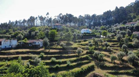 Quinta  para venda