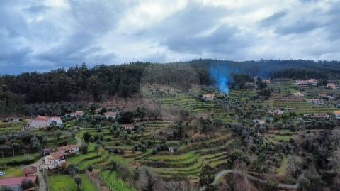 Quinta  para venda