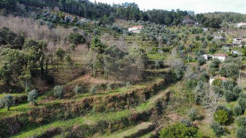 Quinta  para venda