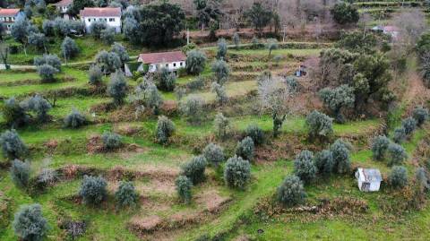 Quinta  para venda