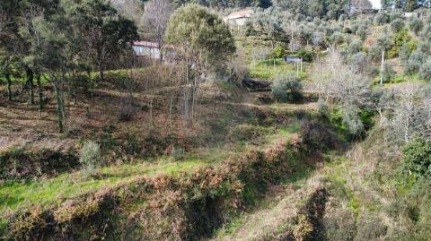 Quinta  para venda