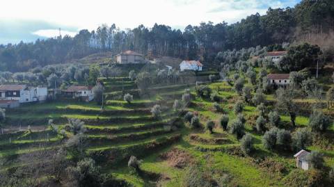 Quinta  para venda