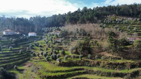 Quinta  para venda