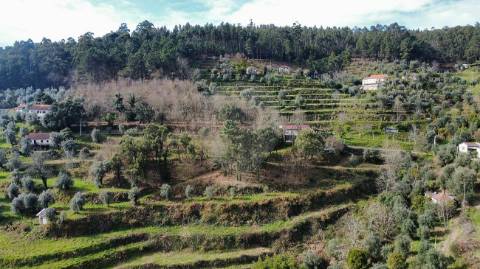 Quinta  para venda