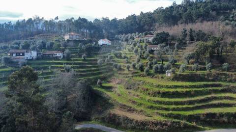 Quinta  para venda