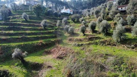Quinta  para venda
