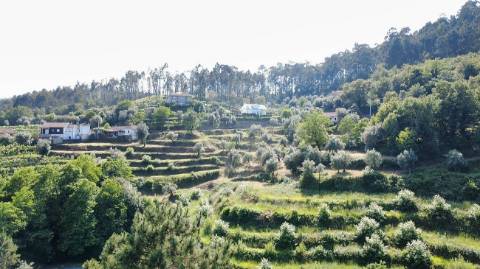 Quinta  para venda