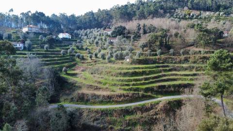 Quinta  para venda
