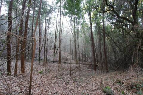 Terreno  para venda